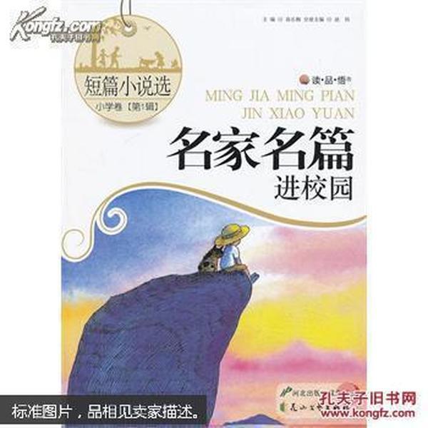 完美的收藏品